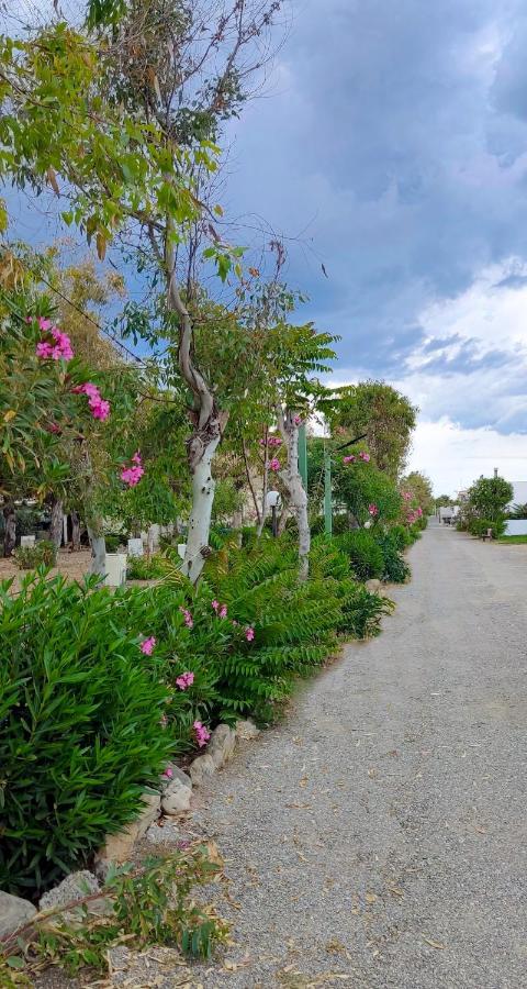 Camping Village Torrenova Cirò Marina Dış mekan fotoğraf