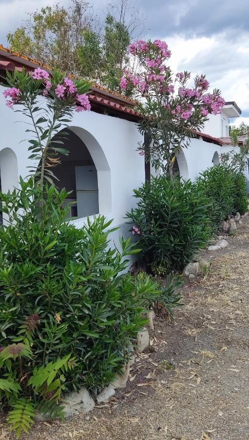 Camping Village Torrenova Cirò Marina Dış mekan fotoğraf