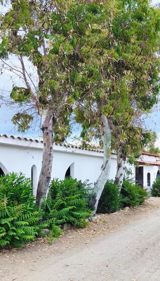 Camping Village Torrenova Cirò Marina Dış mekan fotoğraf